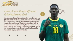 zap789 ราคาค่าน้ำบอล คืออะไร คู่มือแบบเข้าใจง่ายสำหรับมือใหม่